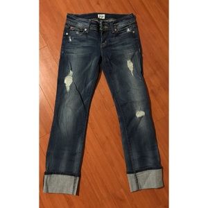 Hudson Jeans Ginny Crop Straight Leg Size 26